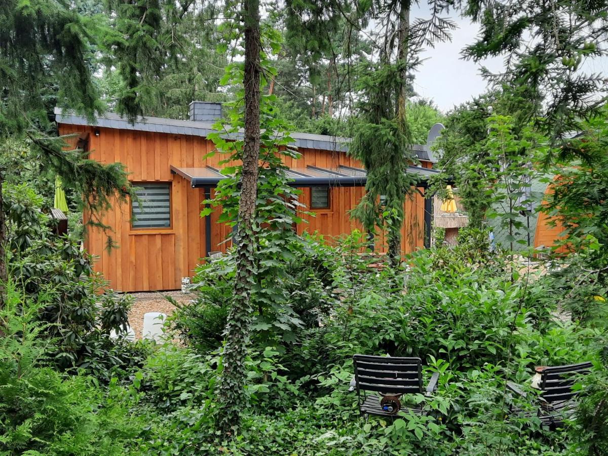 Rehburg-Loccum Ferienhaus Leon Mit Sauna מראה חיצוני תמונה