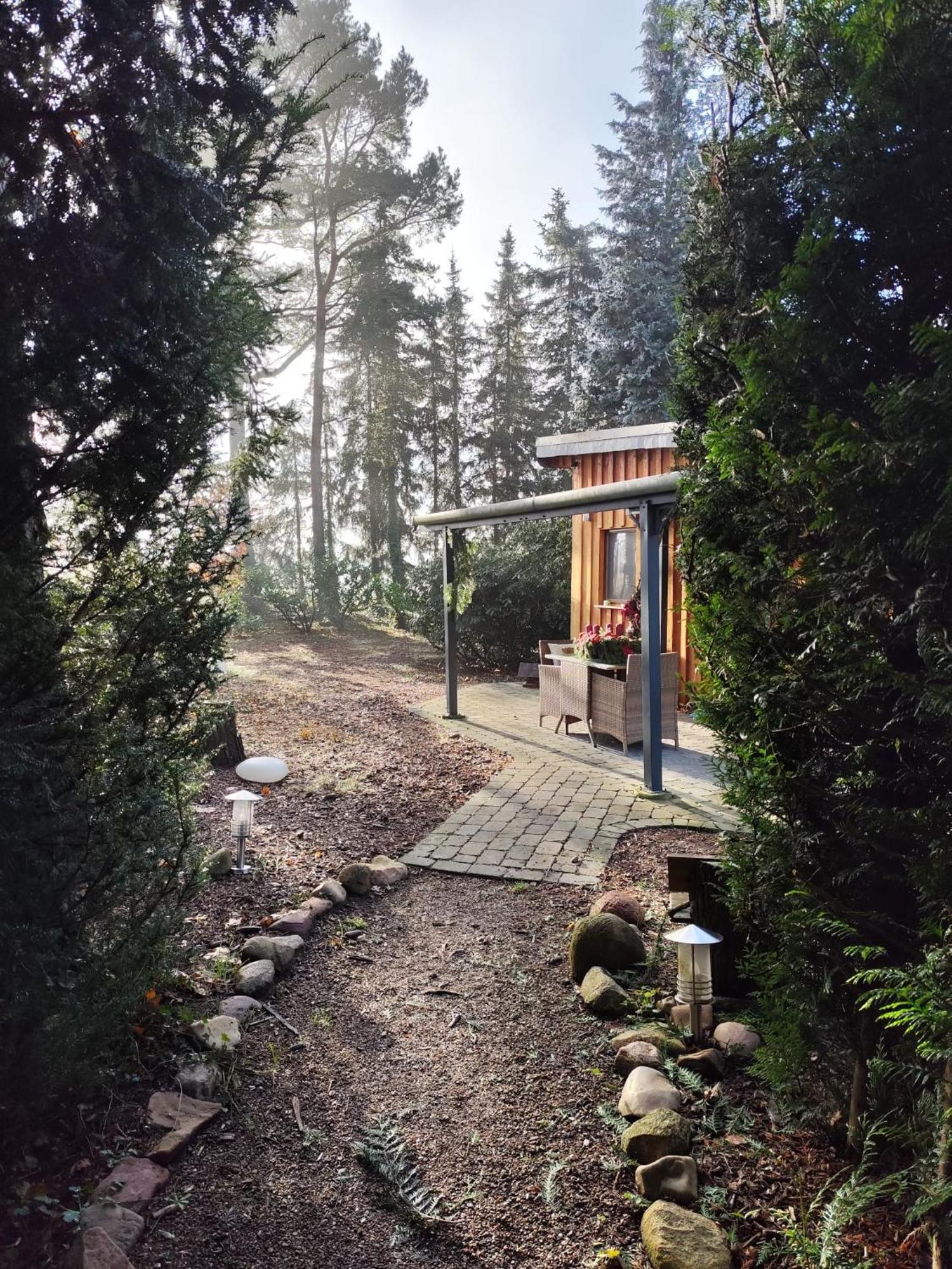 Rehburg-Loccum Ferienhaus Leon Mit Sauna מראה חיצוני תמונה